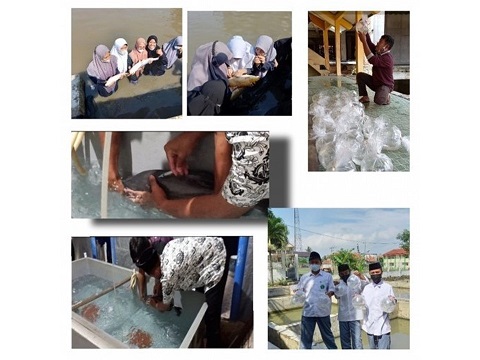 Siswa MA Al Hikmah 2 Sirampog Brebes belajar Agribisnis Perikanan Air Tawar