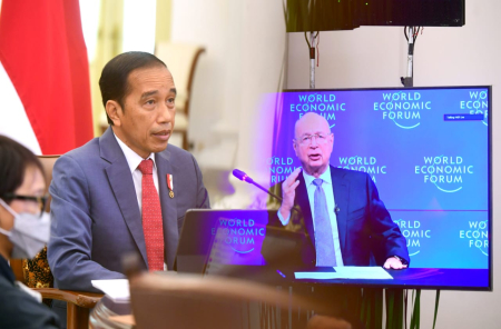 Strategi Ekonomi Hijau Indonesia