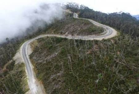 Jalan perbatasan Papua yang dibangun