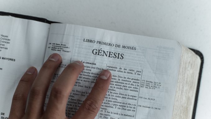 pexels-luis-quintero-2294873