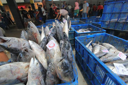 Pengiriman produk pengalengan ikan dari Indonesia