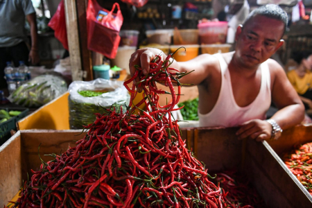 Pedagang memilah cabai merah yang dijual di Pasar Senen