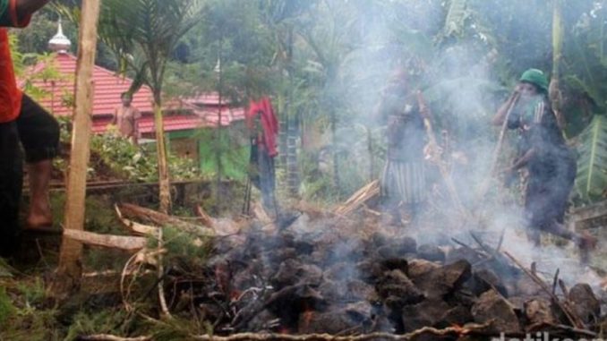 PENGHIJAUAN YANG MASIF DI PAPUA